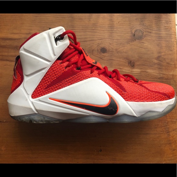 lebron james heart of a lion
